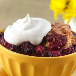 AUGASON FARMS Freeze-Dried Fruit Variety Pail Emergency Food Supply 6 Varieties 4 Gal. Pail 30 Year Shelf Life -Safety & Security Tools Sales Shop augason farms emergency response kits 5 20490 66 1000