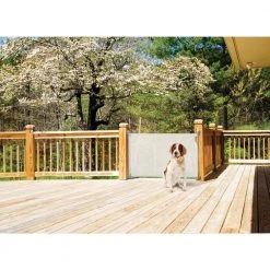 Dreambaby 34 in. H x 55 in. W White Retractable Indoor/Outdoor Safety Gate -Safety & Security Tools Sales Shop dreambaby baby gates l820 44 1000