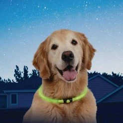 Nite Ize NiteHowl LED Safety Necklace Green -Safety & Security Tools Sales Shop greens nite ize light sticks nho 28 r3 fa 1000