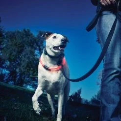 Nite Ize NiteHowl LED Safety Necklace-Red -Safety & Security Tools Sales Shop reds pinks nite ize light sticks nho 10 r3 76 1000