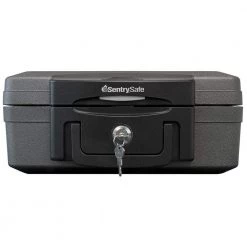 SentrySafe 0.17 cu. ft. Fireproof and Waterproof Safe Box